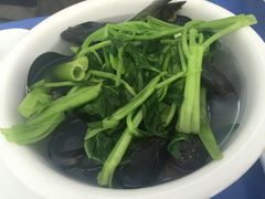 淡菜汤-老杨饭店(万科里店)