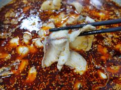 红汤鱼火锅-川渔居—鱼火锅(八方汇店)