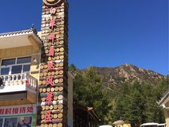-白草畔自然风景区
