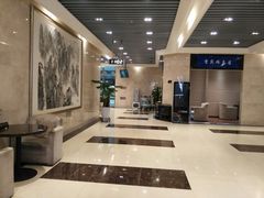 -新桥机场易登机贵宾服务