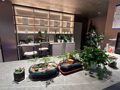 -Sips&Lick茶兰咖啡(五道口店)