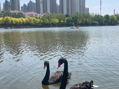 -南翠屏公园