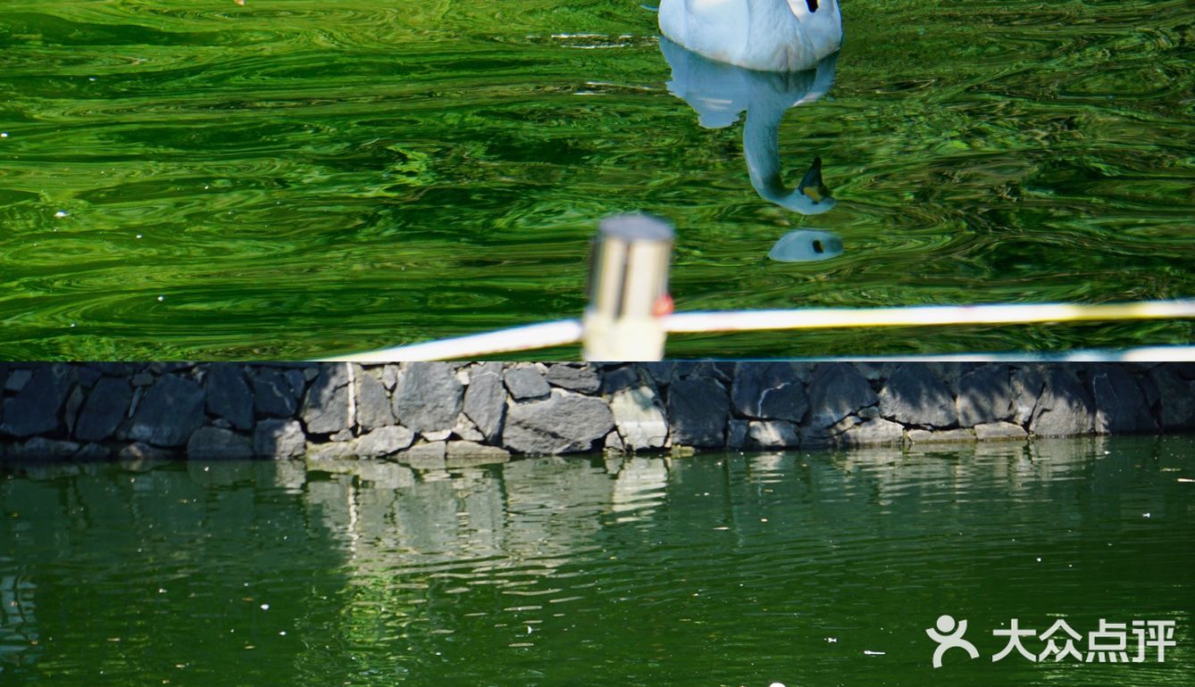 大蜀山野生动物园|去找动物朋友们冒险吧