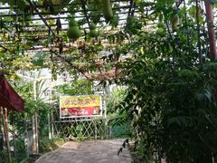 润记农家菜瓜果长廊-润记农家菜