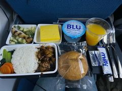 -新加坡航空公司(ION)
