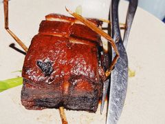 东坡草扎肉-桂满陇天书(南京德基旗舰店)