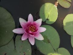 -茅家埠