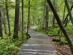 -五营红松林海景区