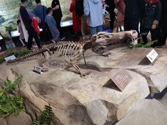 -自贡恐龙博物馆