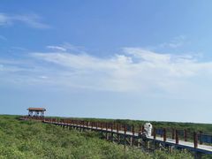 -北海金海湾红树林生态旅游区