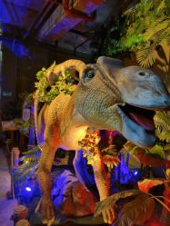 -恐龙探索乐园(磁器口店)