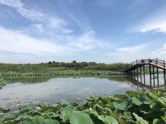 -白洋淀景区