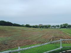 -大连铭湖国际观光牧场