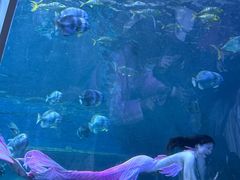 -华夏文旅海洋公园