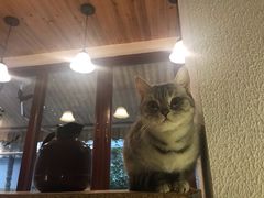 -隅cafe(傅厚岗店)