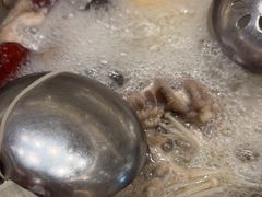-呷哺呷哺 黄金牧场 (新辰里学清路店)