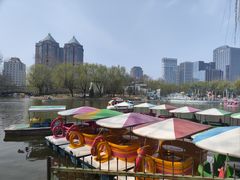 -团结湖公园