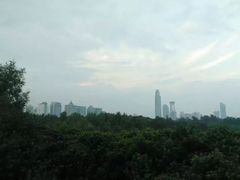 -荔枝公园-小平画像广场