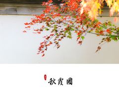 -秋霞圃