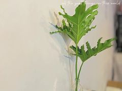 -漫笙舍Manse·咖啡·民宿