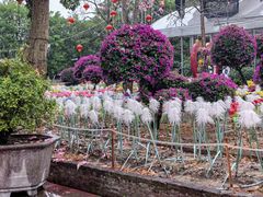 -广东花都香草世界旅游度假区