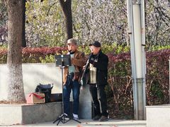 -高东镇樱花园