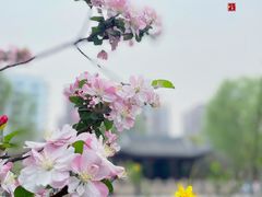 -元大都城垣遗址公园