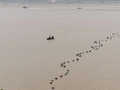 -北岐滩涂