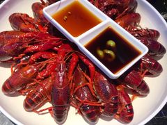 -96农蝎虾(江桥老街店)