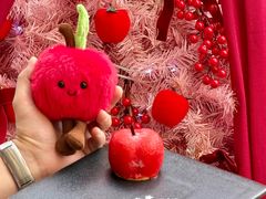 -秘密旅行Bonjour(黑金冠 江南西店)