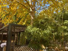 -春晖园度假酒店温泉