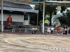 -南宫五洲植物乐园