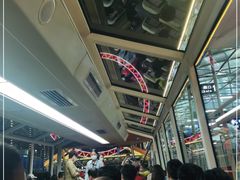 -海河游船-永乐码头(大悲院)