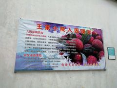 -王家小院