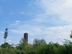-习家池