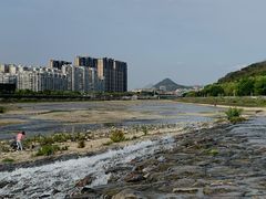-龙江公园