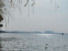 -海埂大坝