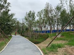 -回龙观体育文化公园