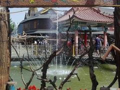 -呀路古热带植物园-恐龙馆