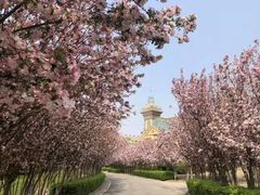 -京津新城温德姆至尊酒店(珠江大道店)