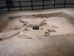 -洛阳周王城天子驾六博物馆