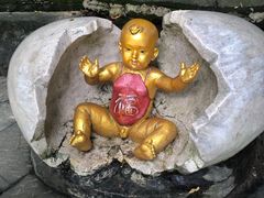 -西双版纳原始森林公园