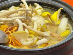 -菌之家·专业纯野生菌火锅·特色炒菌