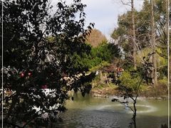 -上海醉白池公园