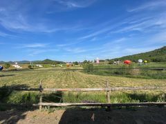 -大连铭湖国际观光牧场
