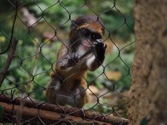 -杭州野生动物世界