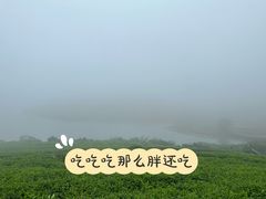 -嵛山岛