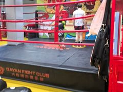 -大焱搏击·泰拳·拳击俱乐部(大柏树店)