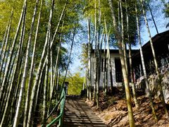 -众神白水涧景区