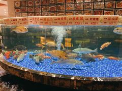 水产区-顺德人家食府(黄金广场店)